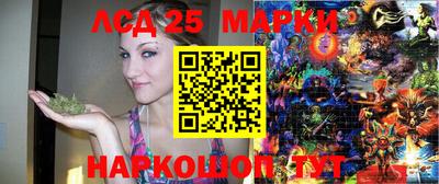 индика Шахты