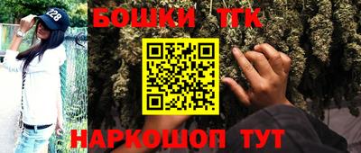 индика Шахты
