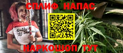индика Шахты